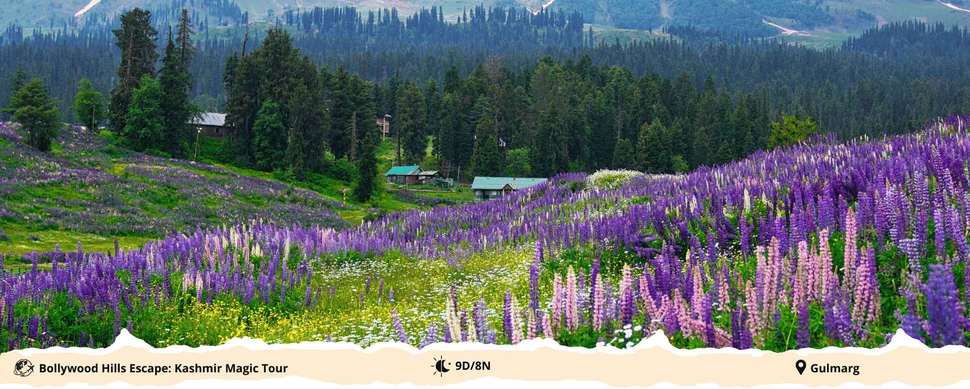 kashmir-banner2