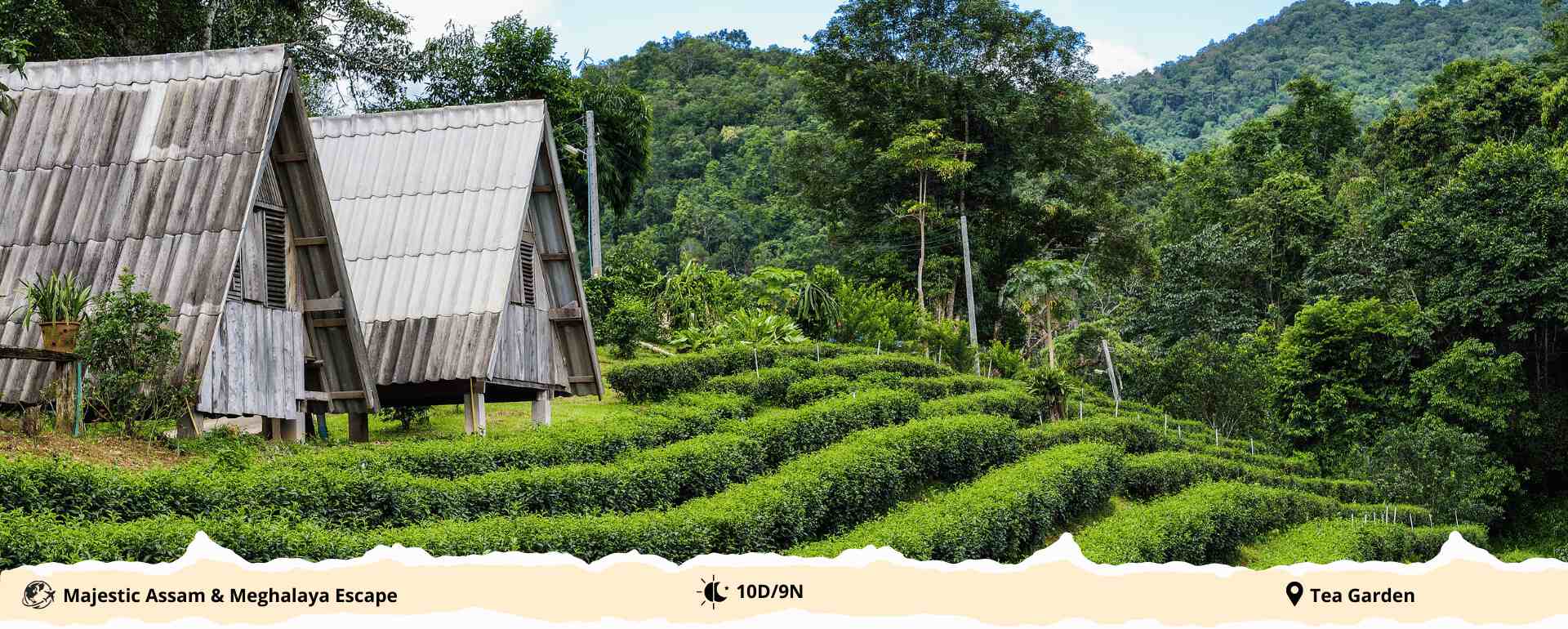 majestic-assam-2