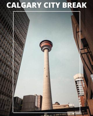 CALGARY CITY
